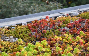 the cost of Calcutt green roof installation