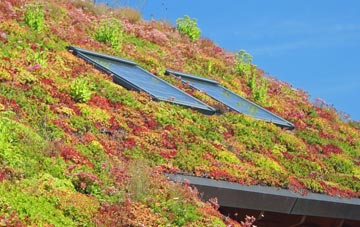 Calcutt living roof systems
